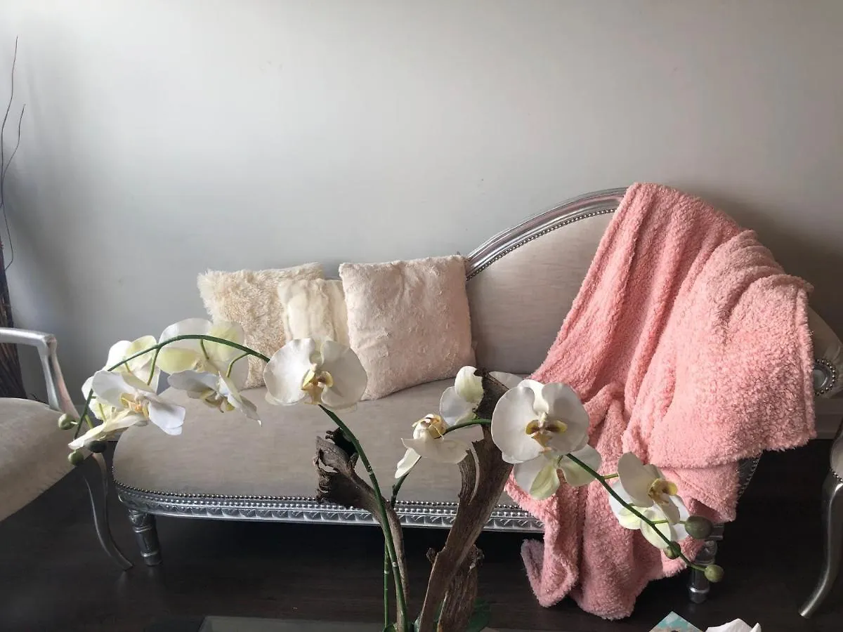 Kashaneh At Hallmark Toronto Apartment